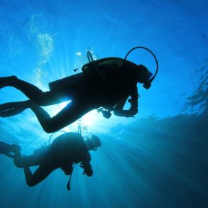 Two scuba divers silhouetted against the sun while they are diving the florida panhandle
