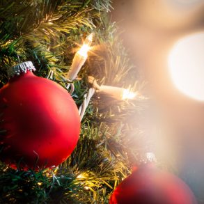 Close up of a Christmas tree branch with lights and decorations | Sandestin Tree Lighting