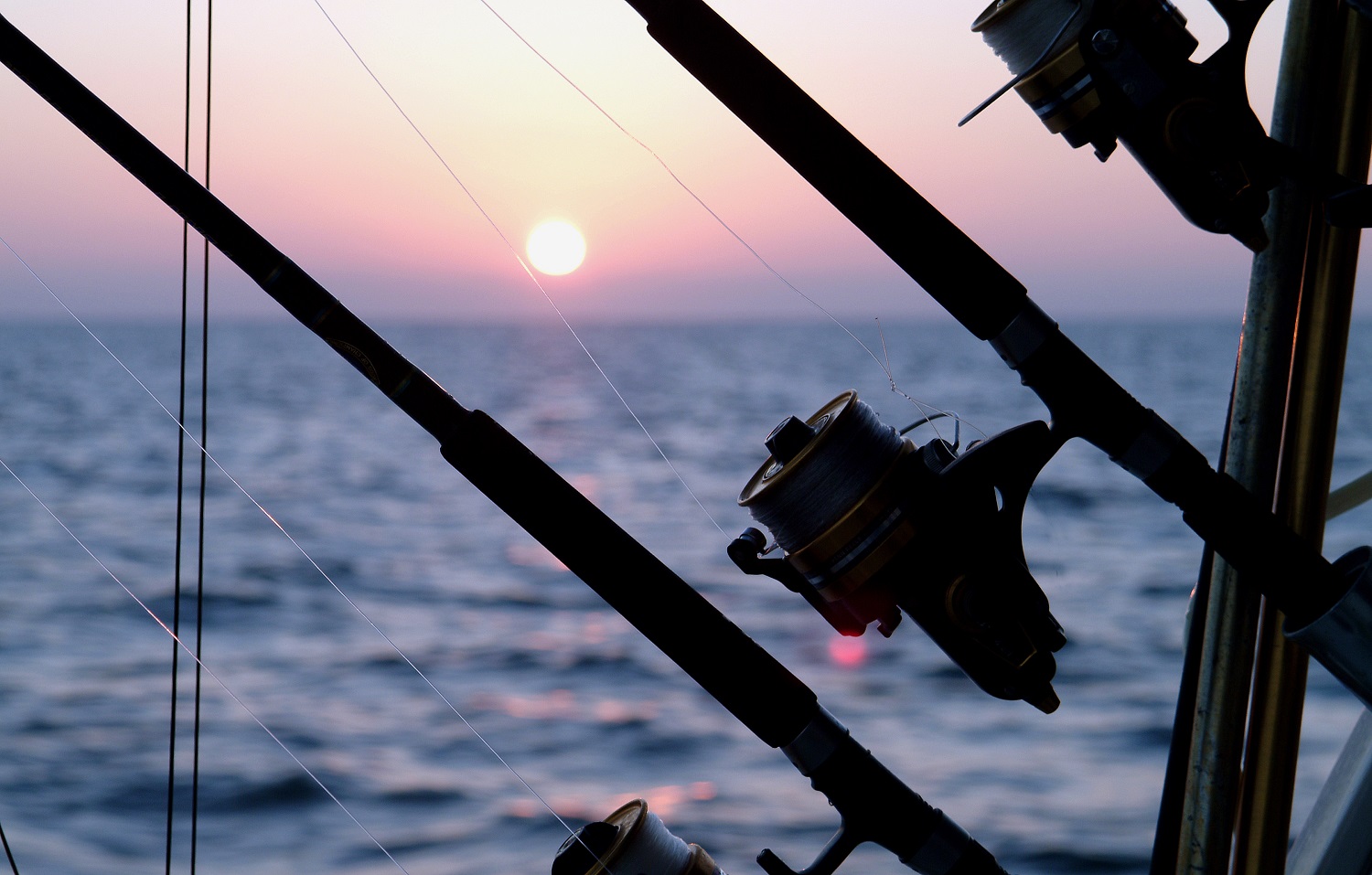 reel-in-the-fun-with-outstanding-florida-panhandle-fishing-adagio