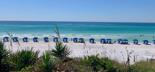 beach chair and umbrellas on beach