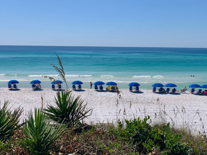 beach chair and umbrellas on beach