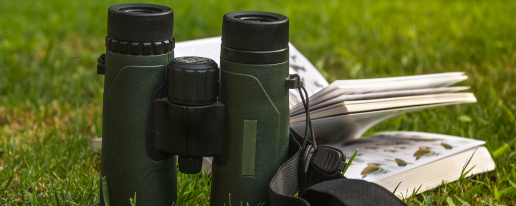 binoculars and bird field guide