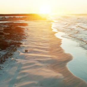 things to do in grayton beach, florida