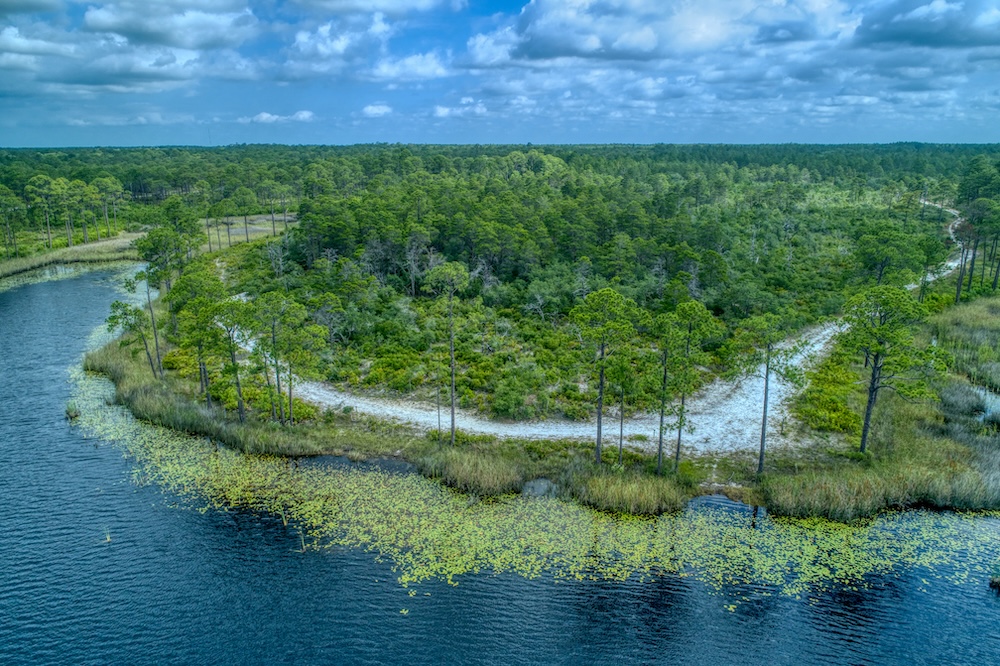 Aerial View of the Sandy Trails at Grayton Beach State Park.
